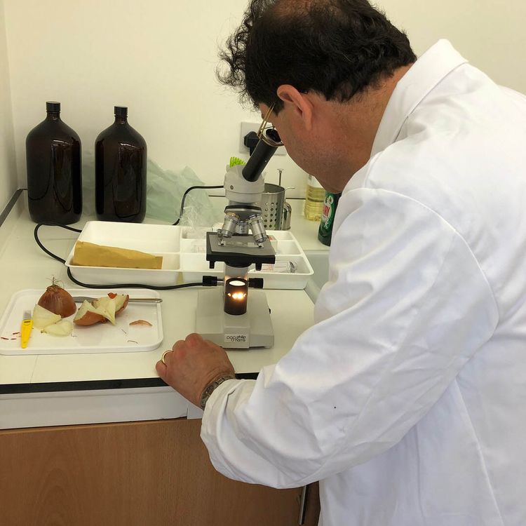 microscope tutoring